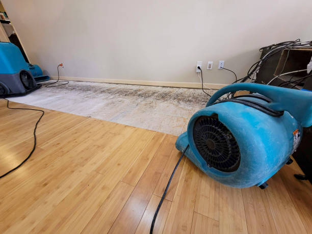Professional Water Damage Repair technician working in Chuckey, TN